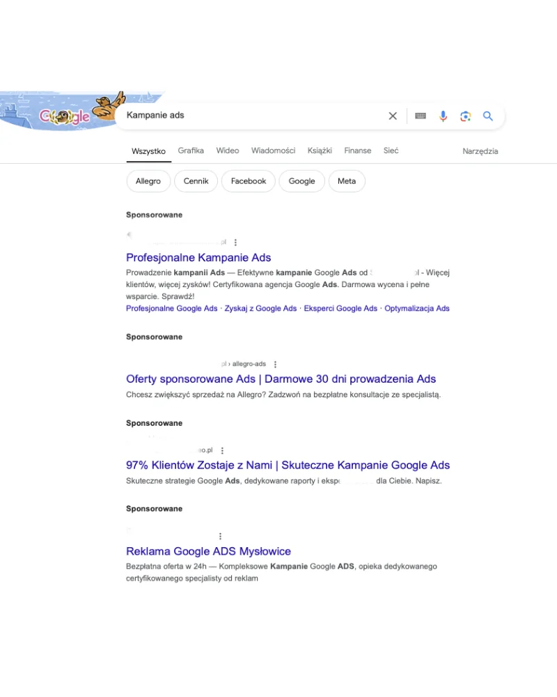 Kampania Google ADS